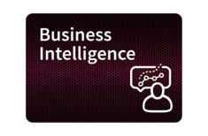 Business Intelligence.